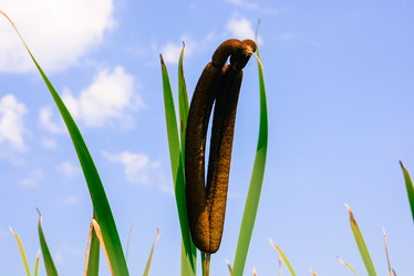 Similar image 6512143