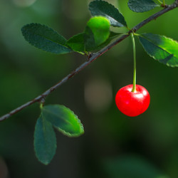 Similar image 6512144