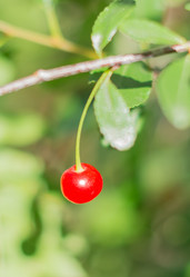 Similar image 6512145