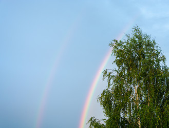 Similar image 6512146