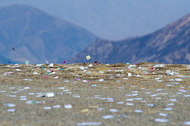 Similar image 6512199