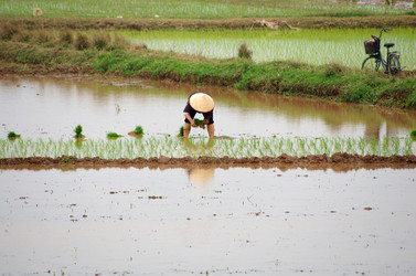 Similar image 6512209