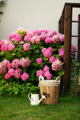 Similar image 6512471