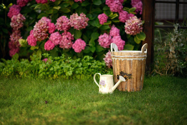 Similar image 6512472