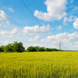 Similar image 6512485