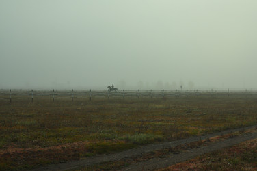 Similar image 6512489