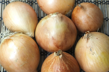 Similar image 6512494