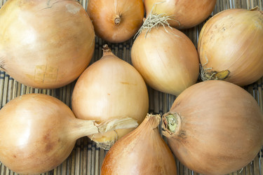 Similar image 6512495