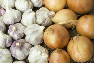 Similar image 6512496