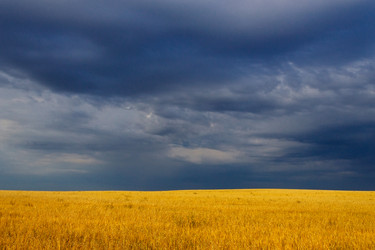 Similar image 6512531