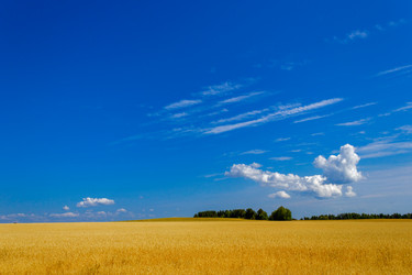 Similar image 6512532