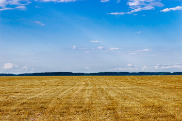 Similar image 6512536