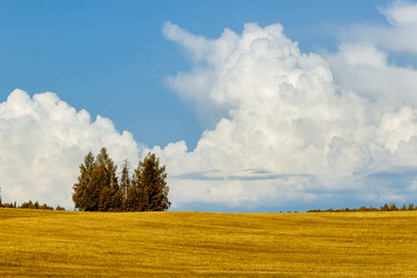 Similar image 6512539