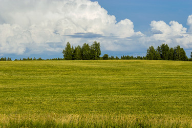 Similar image 6512540