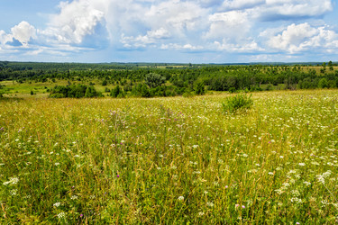 Similar image 6512542