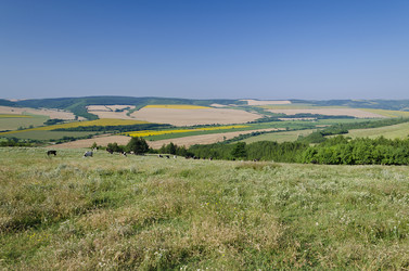 Similar image 6512557