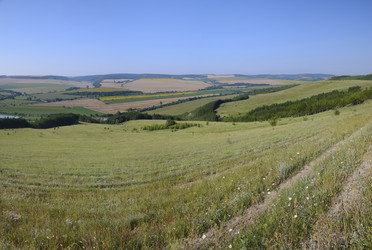 Similar image 6512558