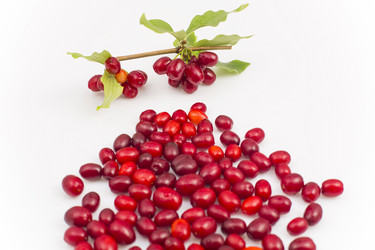 Similar image 6512586