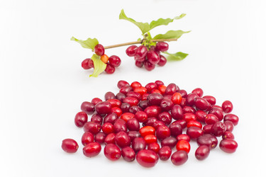 Similar image 6512587