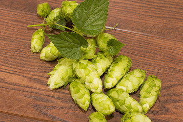 Similar image 6512626