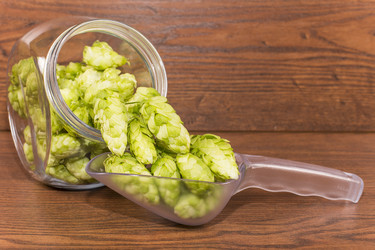 Similar image 6512628