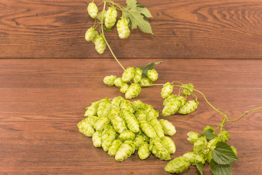 Similar image 6512630