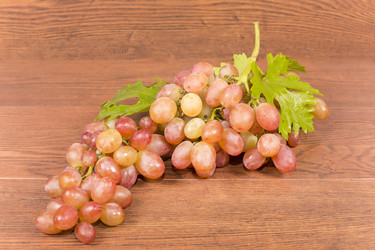 Similar image 6512650