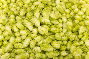 Similar image 6512653