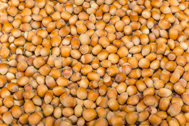 Similar image 6512656