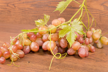 Similar image 6512661