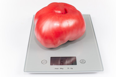 Similar image 6512666