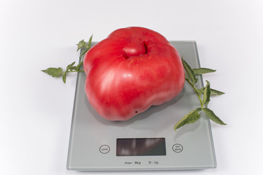 Similar image 6512667