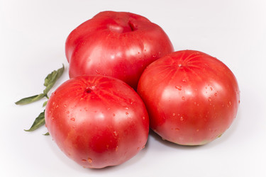 Similar image 6512668