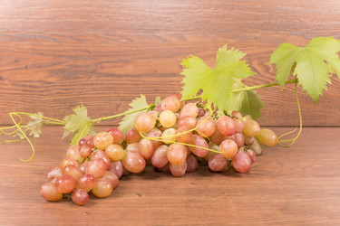 Similar image 6512678