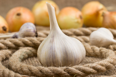 Similar image 6512774