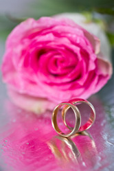 Similar image 6512777