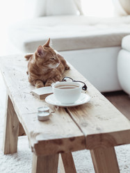 Similar image 6513082