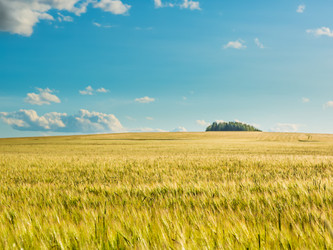 Similar image 6513509