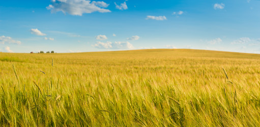 Similar image 6513512