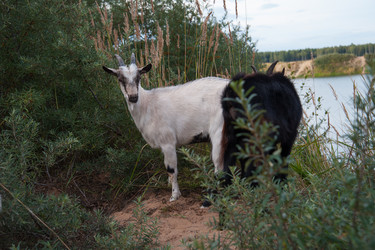 Similar image 6513516