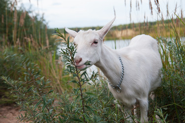 Similar image 6513518