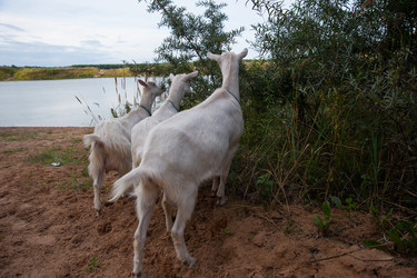 Similar image 6513519