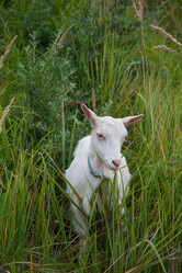 Similar image 6513520