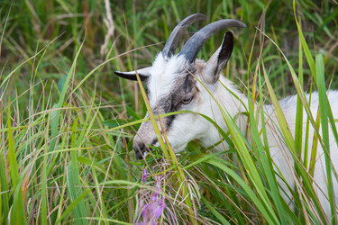 Similar image 6513523