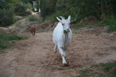 Similar image 6513524