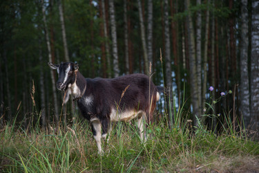 Similar image 6513527