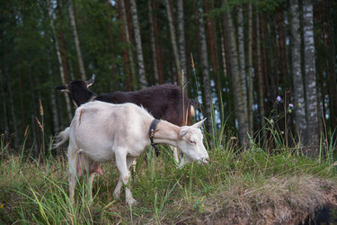 Similar image 6513528