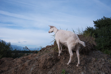 Similar image 6513529