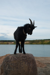 Similar image 6513531