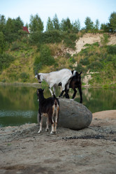 Similar image 6513533